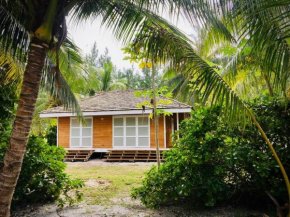 Cottage « the papaya tree »